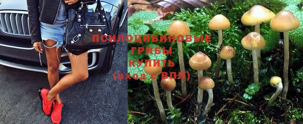 гашиш Инта