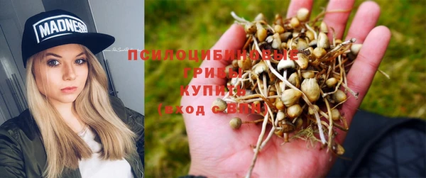 гашиш Инта