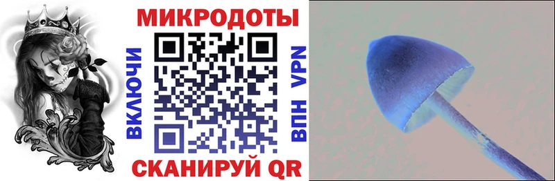 Купить Володарск Галлюциногенные грибы мухоморы